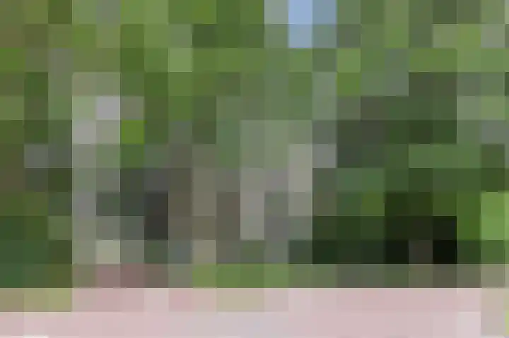 Groenhoven 256 Amsterdam thumbnail 40