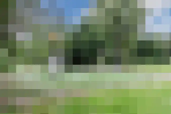 Groenhoven 256 Amsterdam thumbnail 41