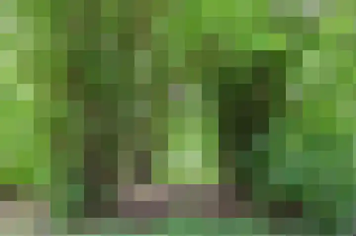 Groenhoven 256 Amsterdam thumbnail 42
