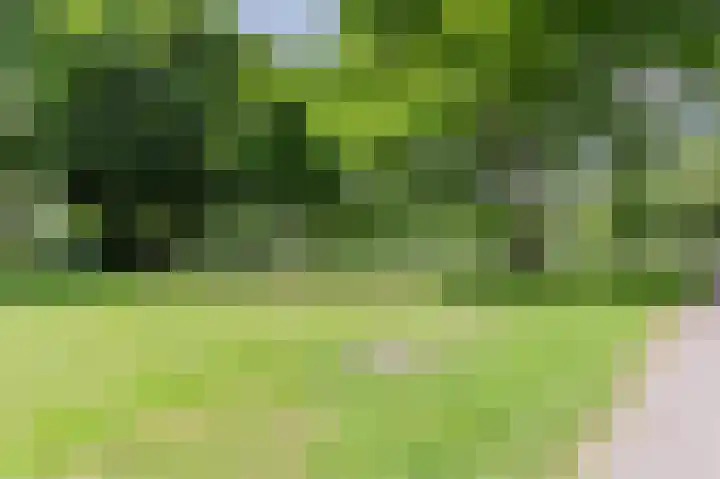 Groenhoven 256 Amsterdam thumbnail 43