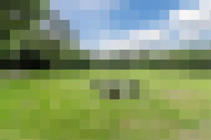 Groenhoven 256 Amsterdam thumbnail 44