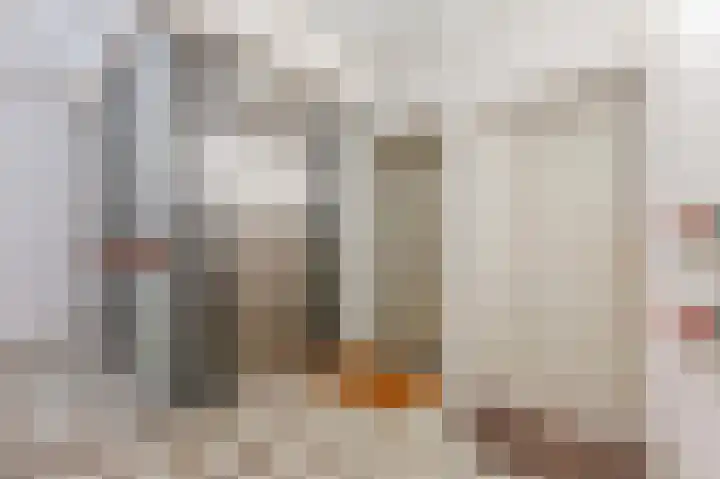 Groenhoven 256 Amsterdam thumbnail 6