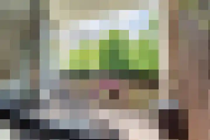 Groenhoven 314 Amsterdam thumbnail 14