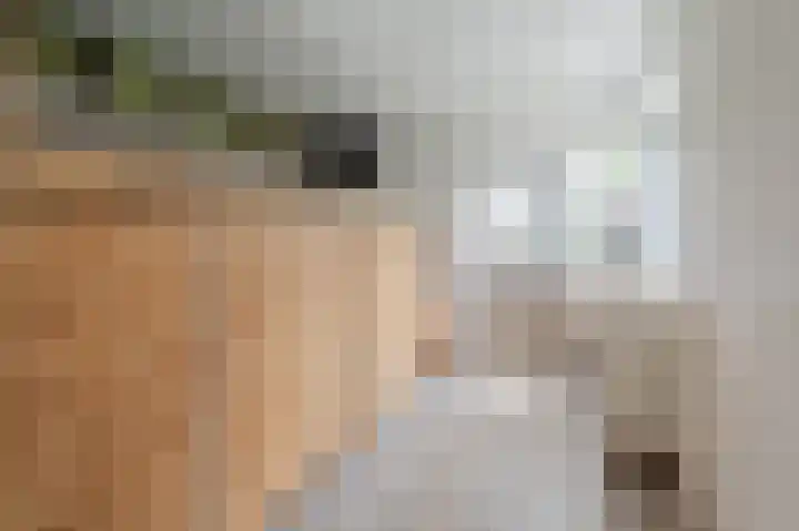 Groenhoven 314 Amsterdam thumbnail 23