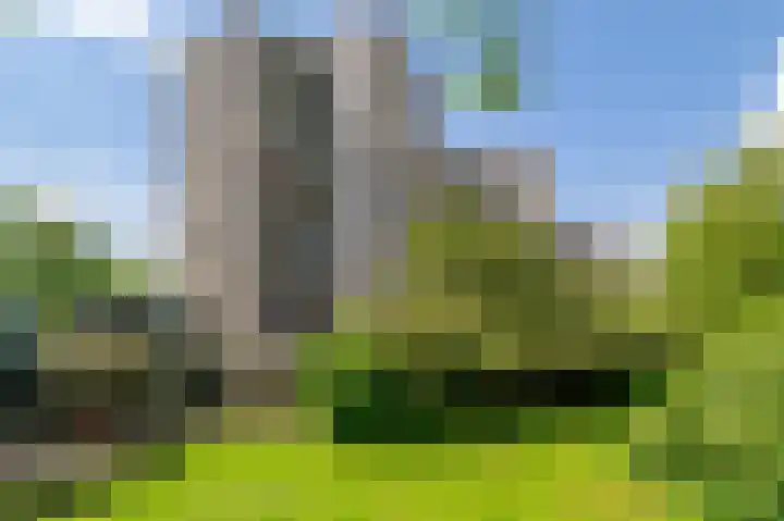 Groenhoven 314 Amsterdam thumbnail 32