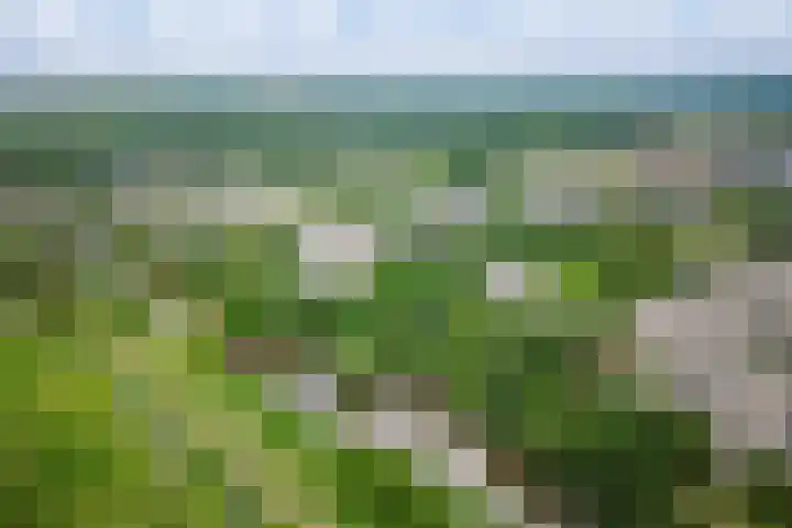 Groenhoven 314 Amsterdam thumbnail 36