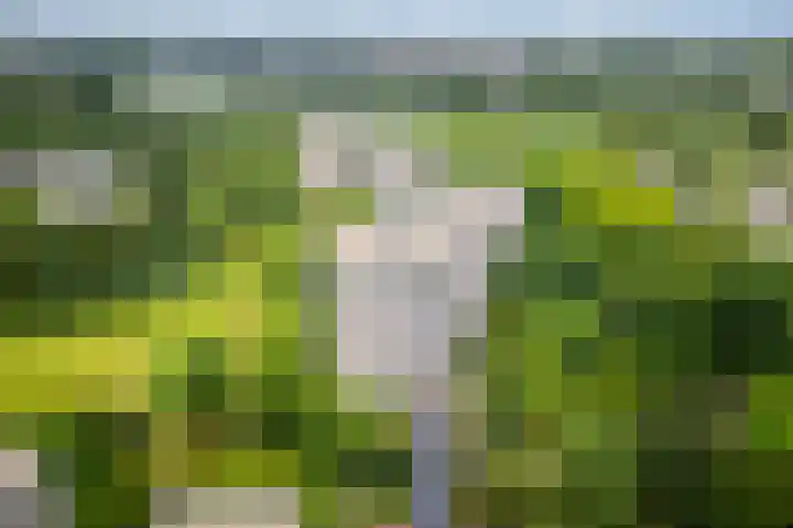 Groenhoven 314 Amsterdam thumbnail 39