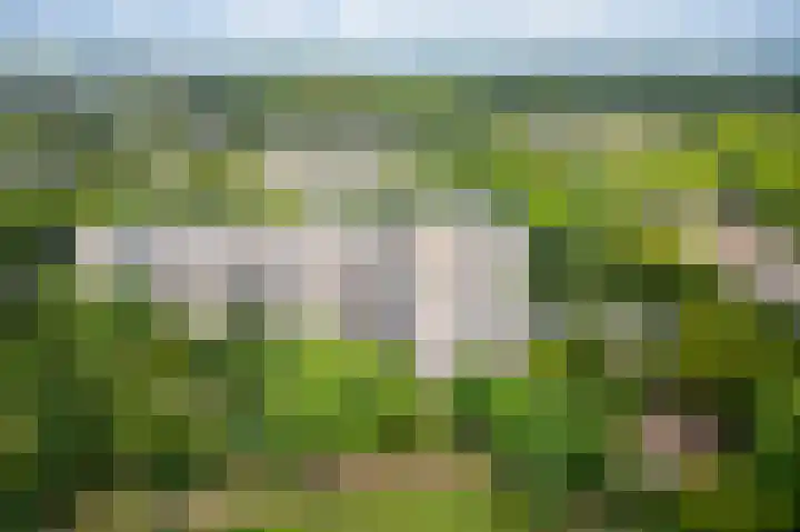 Groenhoven 314 Amsterdam thumbnail 40