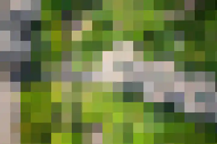 Groenhoven 314 Amsterdam thumbnail 42