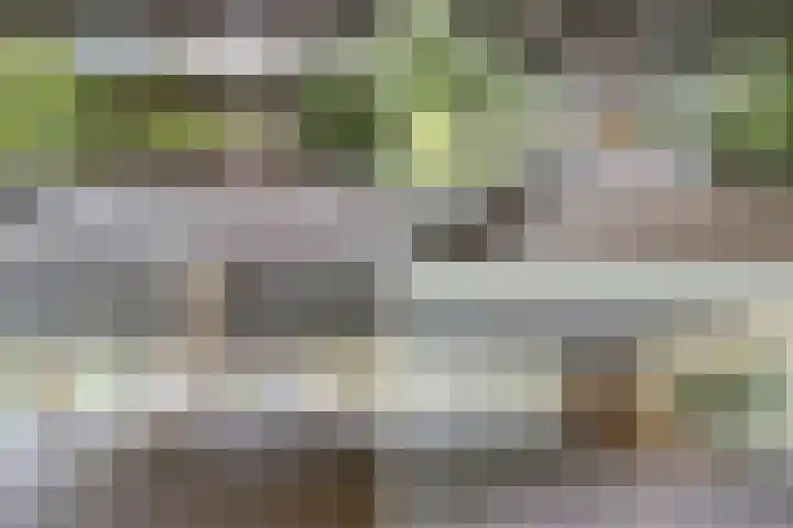 Groenhoven 314 Amsterdam thumbnail 43