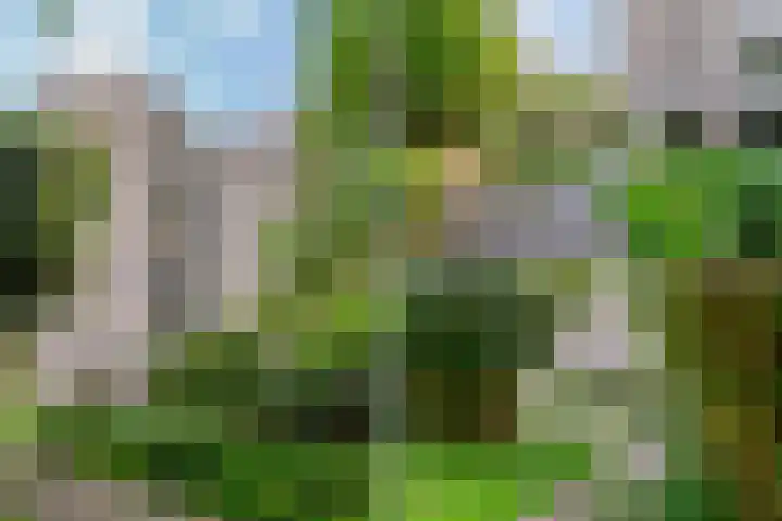Groenhoven 314 Amsterdam thumbnail 45
