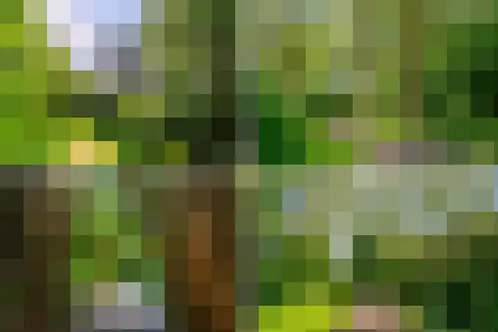 Groenhoven 314 Amsterdam thumbnail 46
