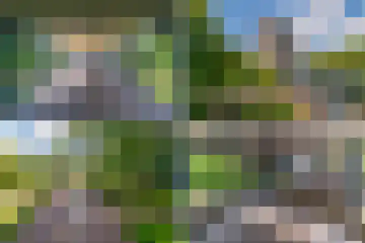 Groenhoven 314 Amsterdam thumbnail 47