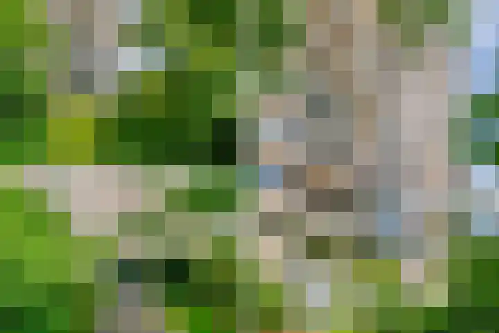 Groenhoven 314 Amsterdam thumbnail 49