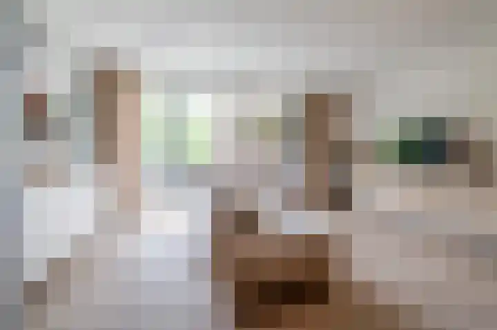 Groenhoven 314 Amsterdam thumbnail 8