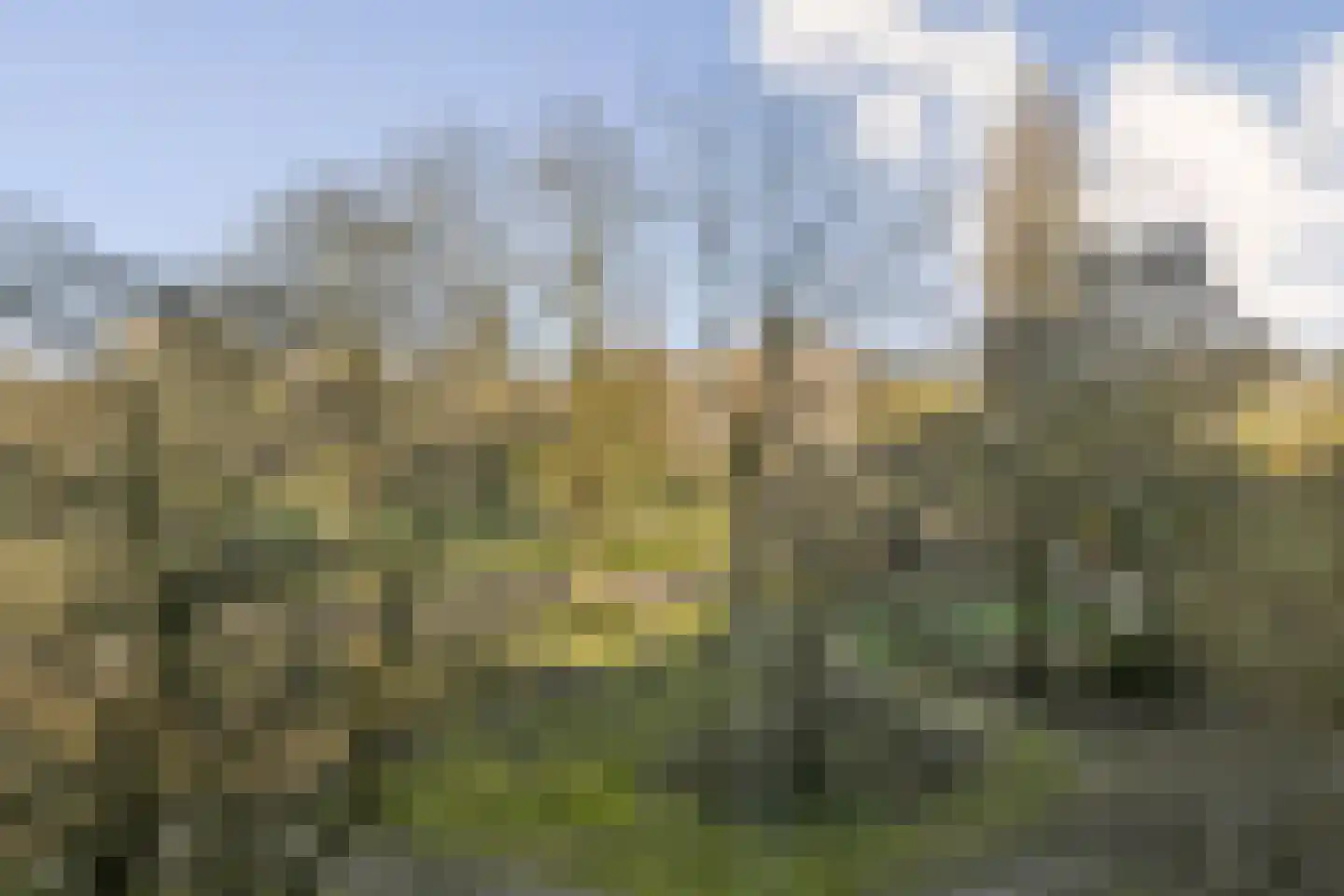 Groenhoven 316 Amsterdam thumbnail 6