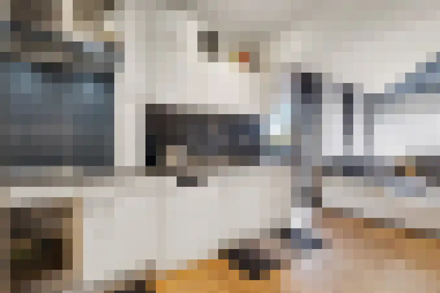 Groenhoven 328 Amsterdam thumbnail 13