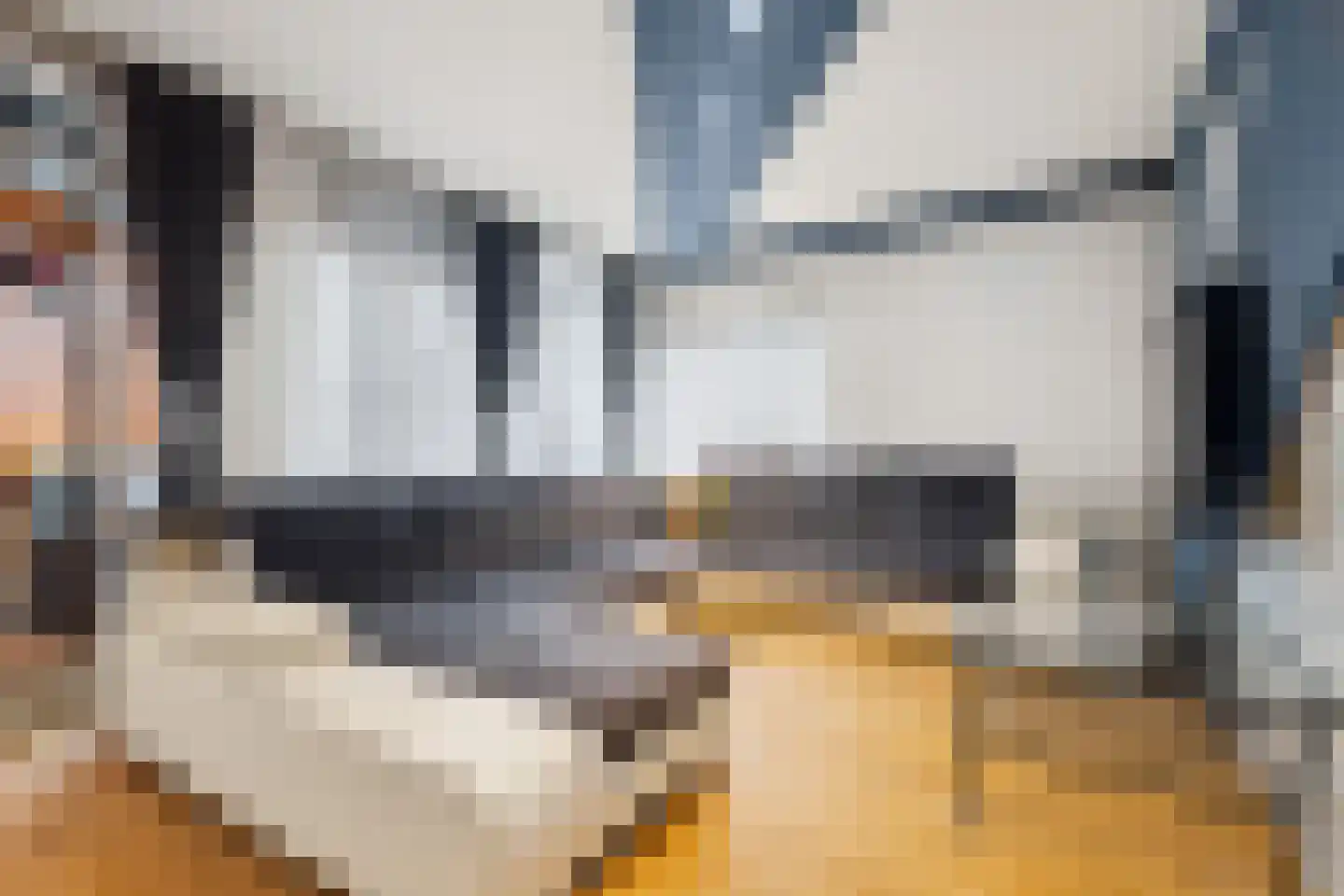Groenhoven 328 Amsterdam thumbnail 9