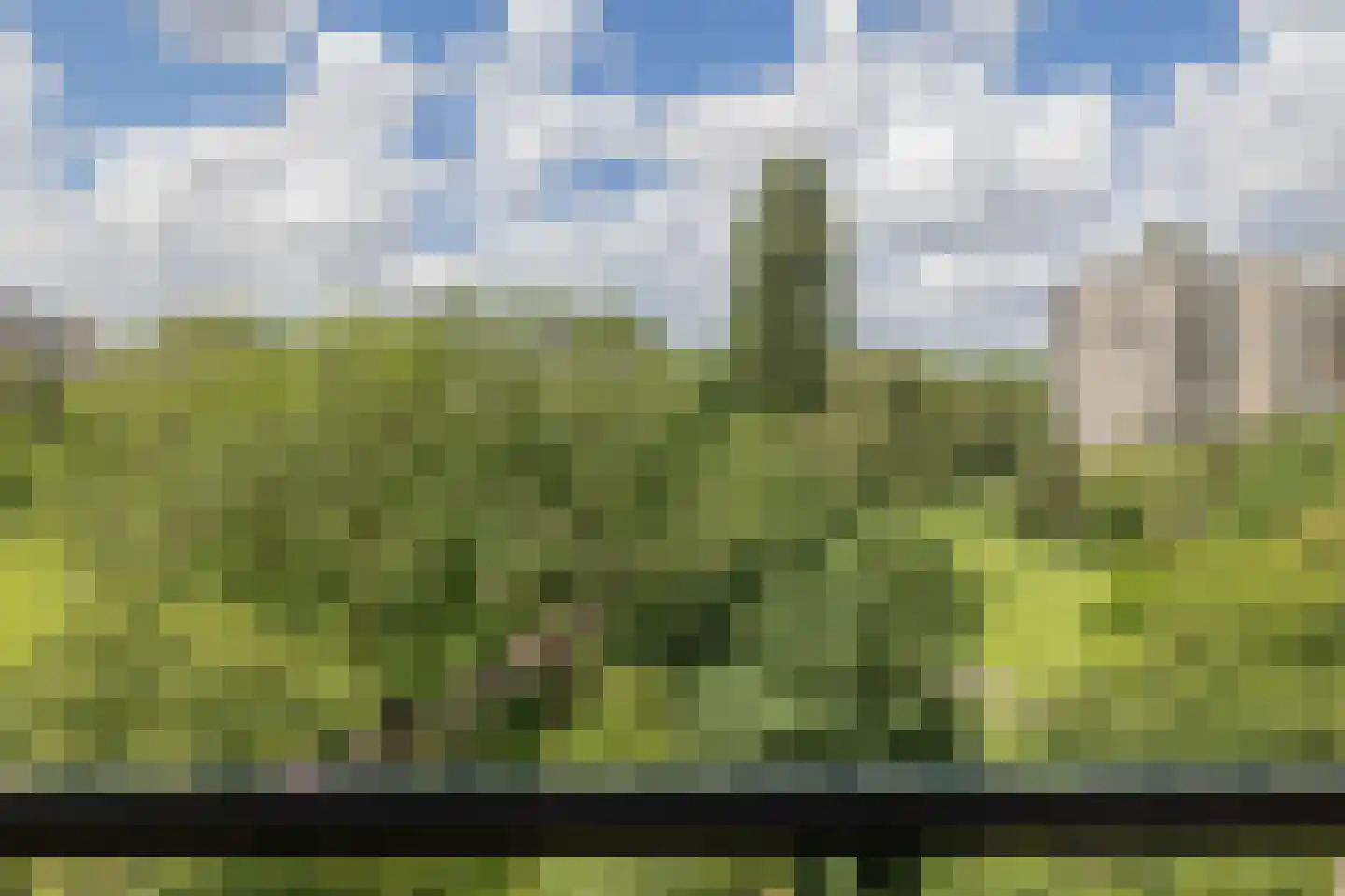 Groenhoven 340 Amsterdam thumbnail 19