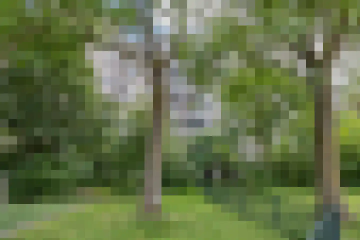 Groenhoven 340 Amsterdam thumbnail 20