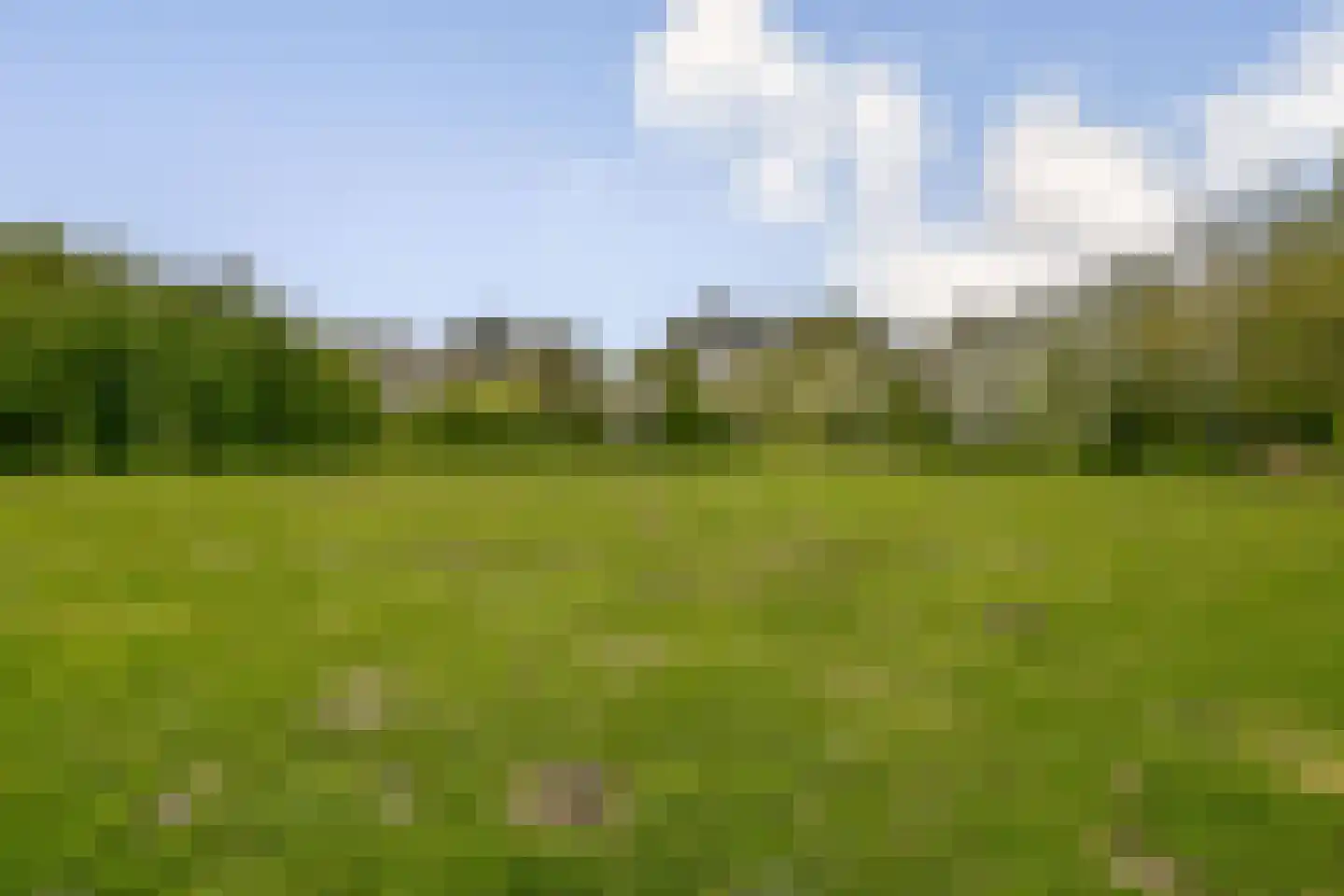 Groenhoven 346 Amsterdam thumbnail 17