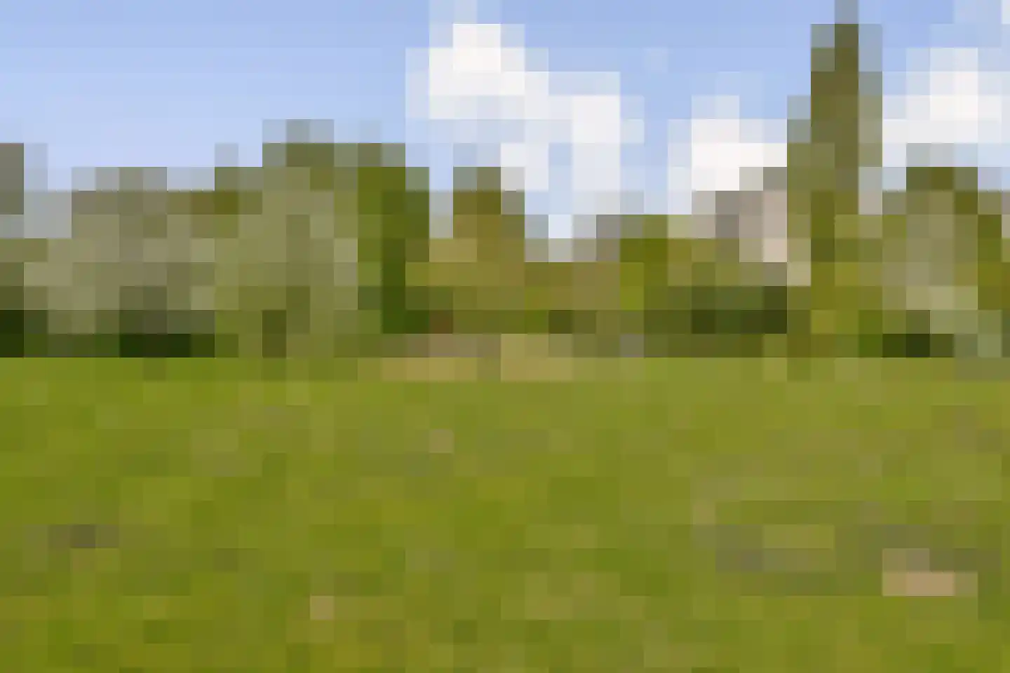 Groenhoven 346 Amsterdam thumbnail 18