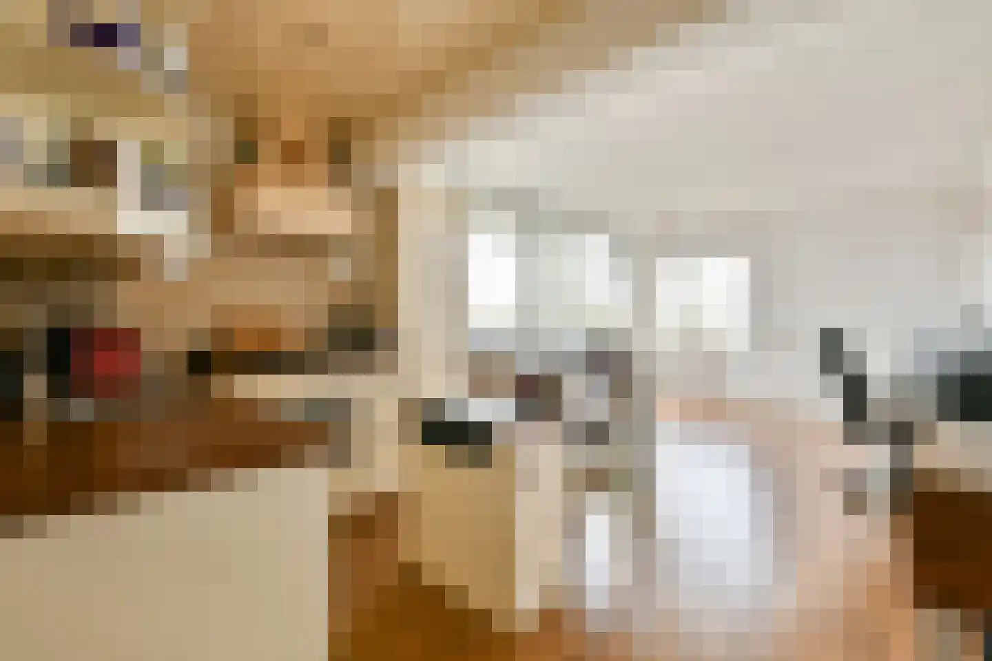 Groenhoven 346 Amsterdam thumbnail 4