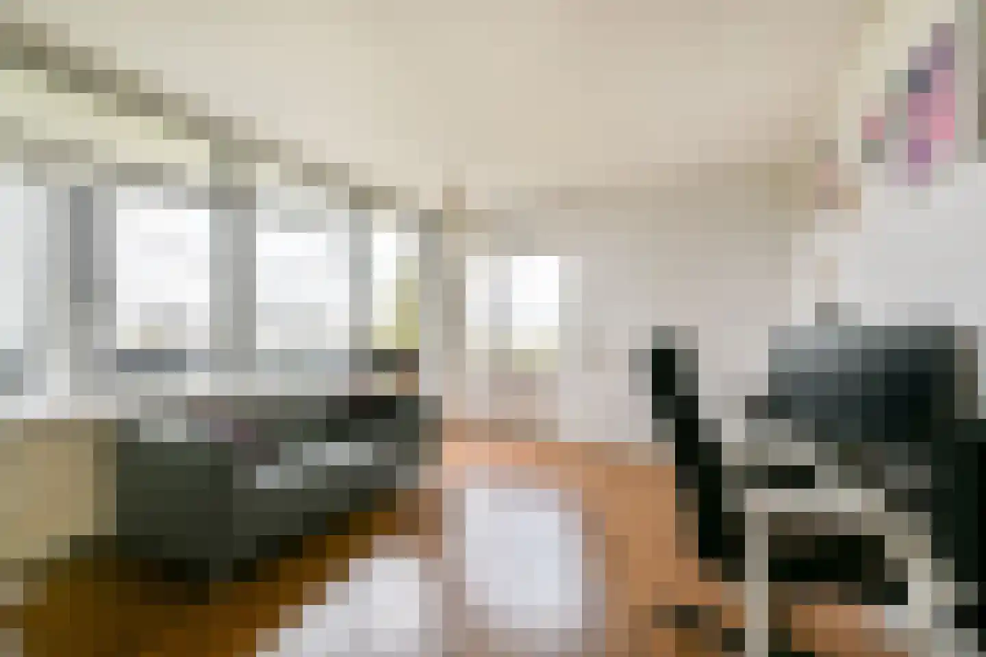Groenhoven 346 Amsterdam thumbnail 6