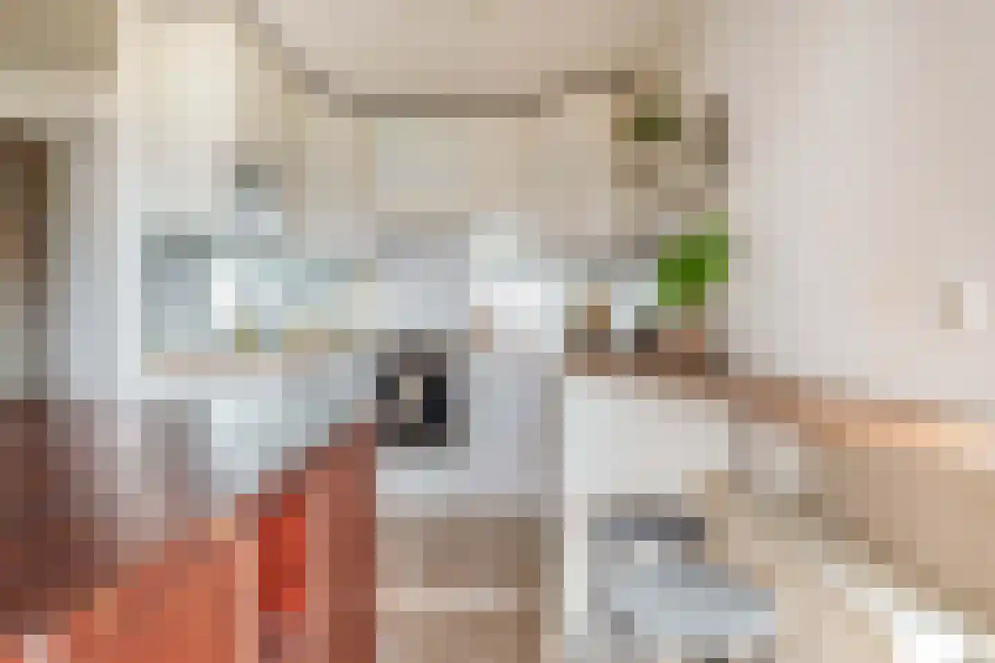 Groenhoven 363 Amsterdam thumbnail 21