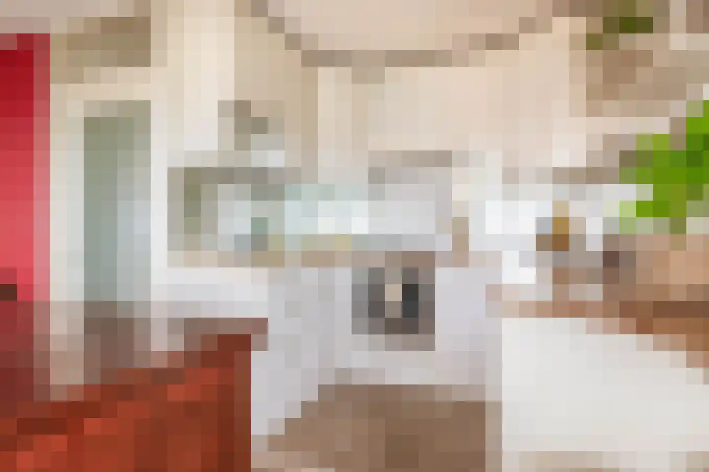 Groenhoven 363 Amsterdam thumbnail 22