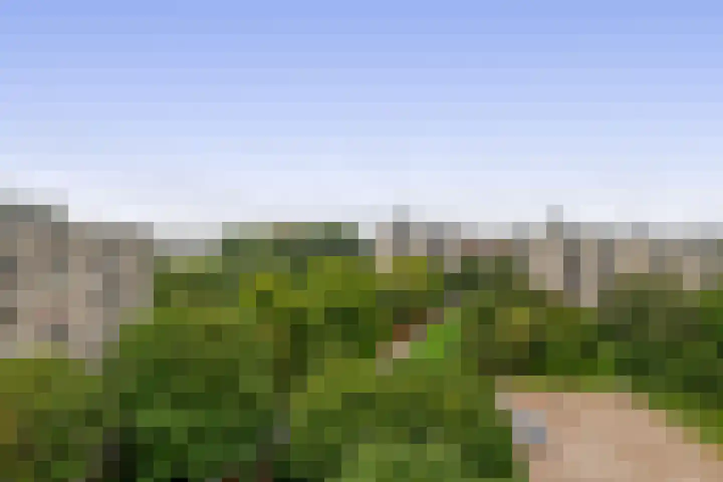 Groenhoven 363 Amsterdam thumbnail 37