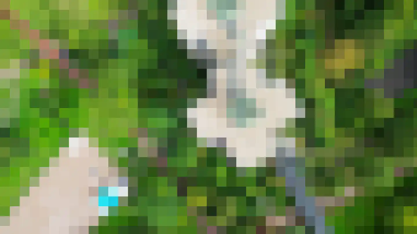 Groenhoven 363 Amsterdam thumbnail 38