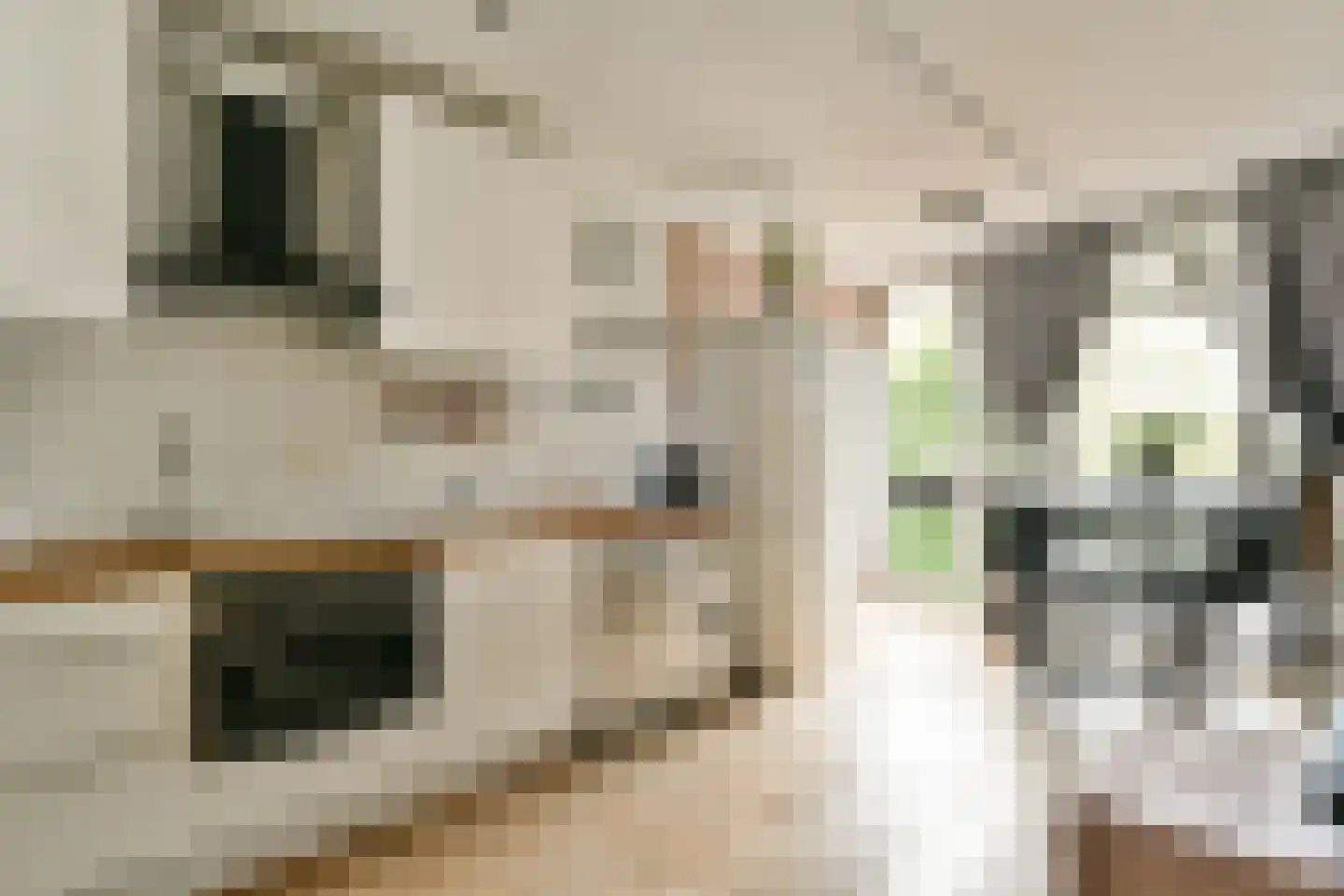 Groenhoven 417 Amsterdam thumbnail 10