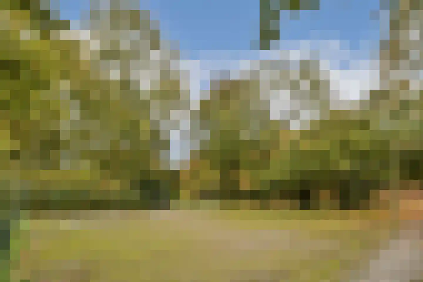 Groenhoven 417 Amsterdam thumbnail 20