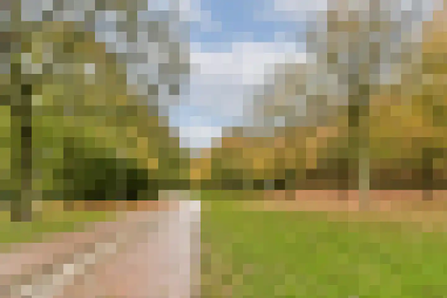 Groenhoven 417 Amsterdam thumbnail 21