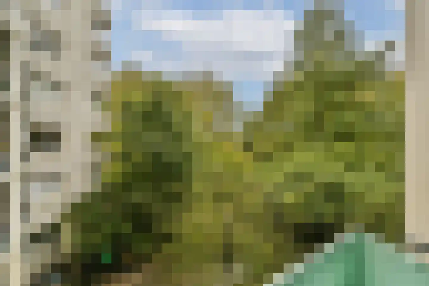 Groenhoven 417 Amsterdam thumbnail 5