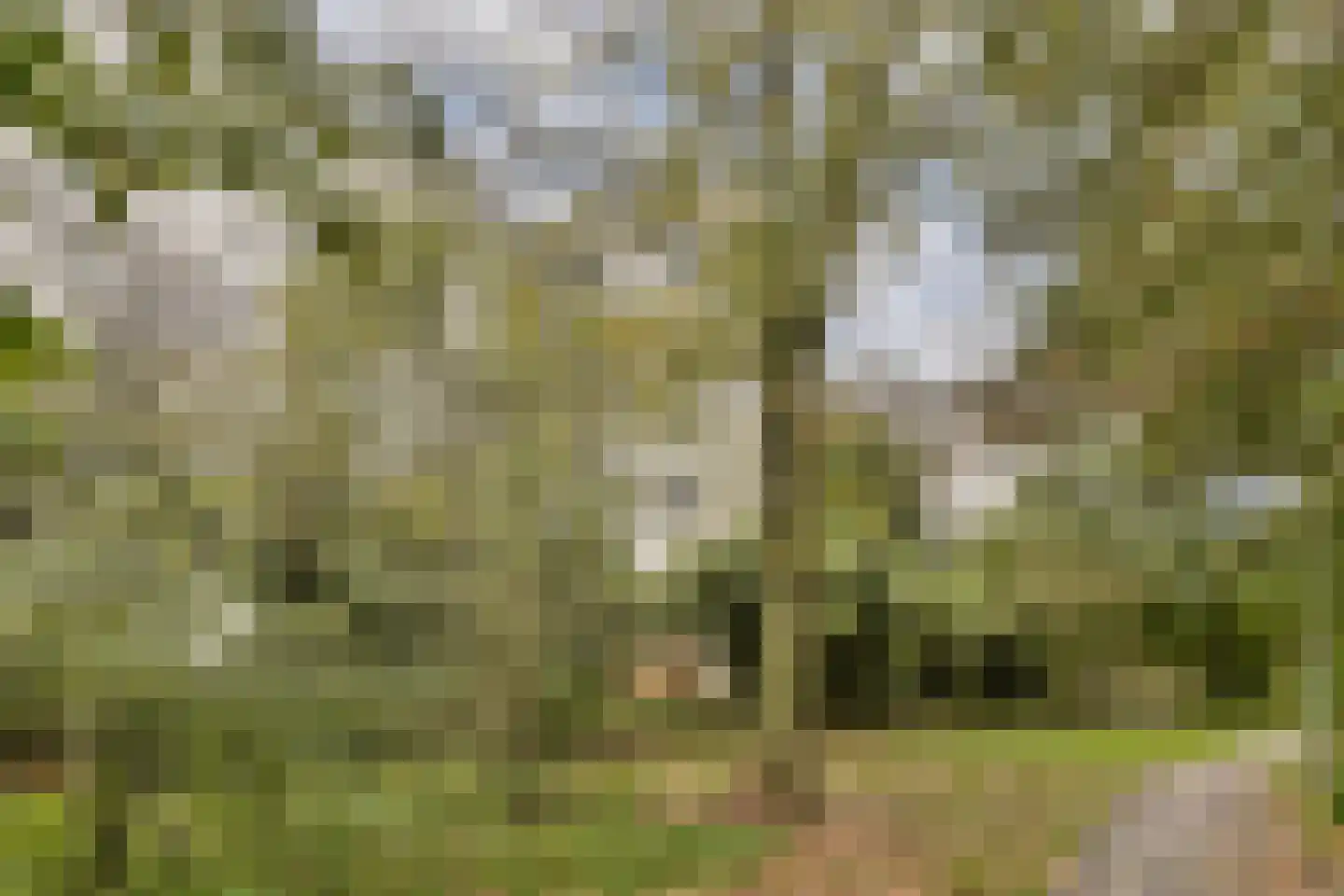 Groenhoven 417 Amsterdam thumbnail 6