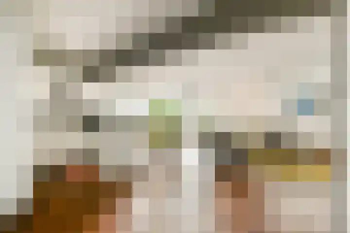 Groenhoven 421 Amsterdam thumbnail 11