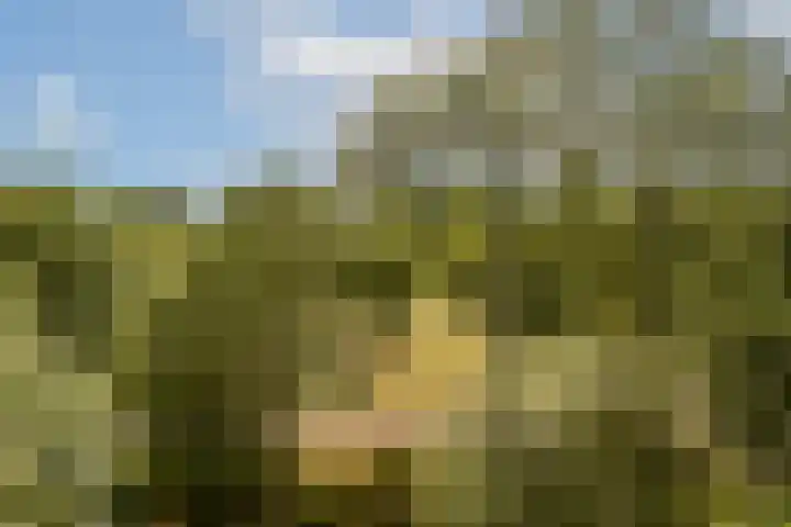 Groenhoven 421 Amsterdam thumbnail 15