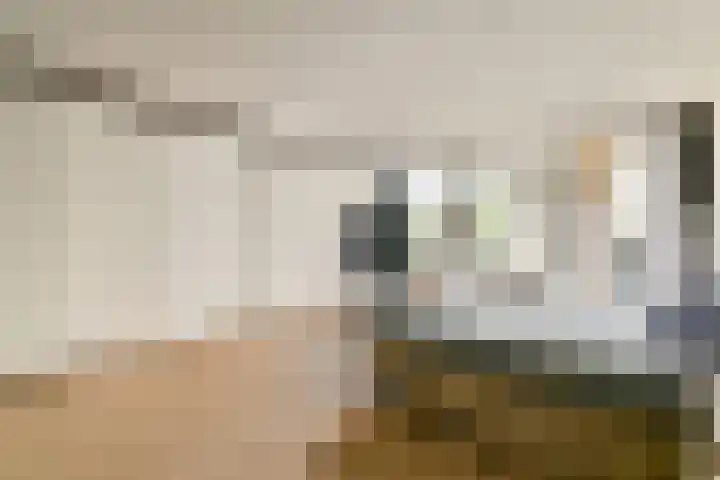 Groenhoven 421 Amsterdam thumbnail 17