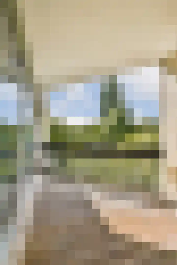 Groenhoven 421 Amsterdam thumbnail 20