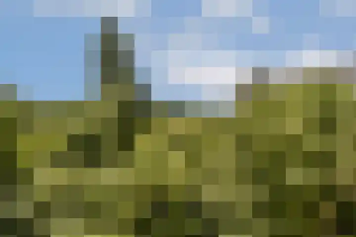 Groenhoven 421 Amsterdam thumbnail 22