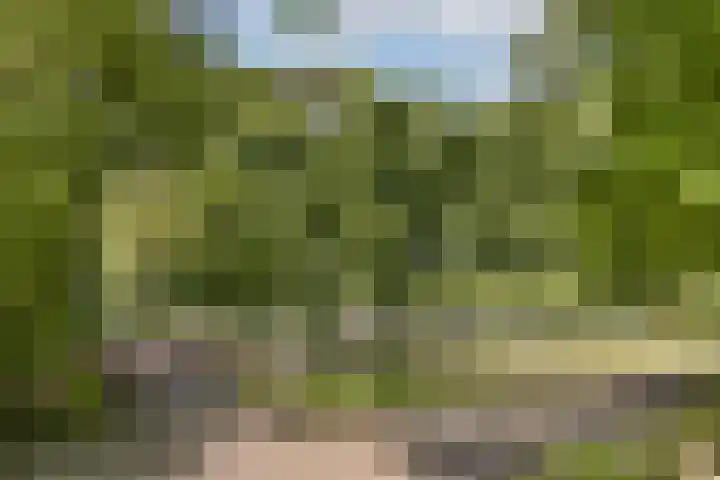 Groenhoven 421 Amsterdam thumbnail 29