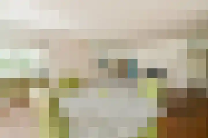 Groenhoven 421 Amsterdam thumbnail 7