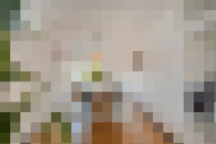 Groenhoven 433 Amsterdam thumbnail 11