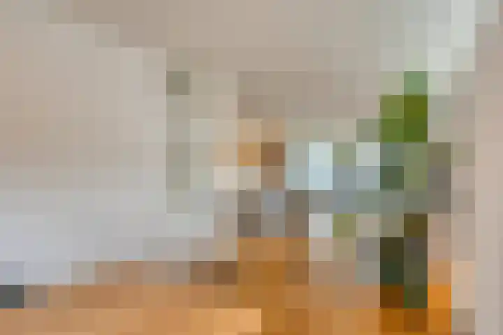 Groenhoven 433 Amsterdam thumbnail 14