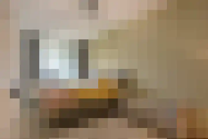 Groenhoven 433 Amsterdam thumbnail 17