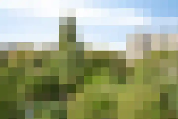 Groenhoven 433 Amsterdam thumbnail 19