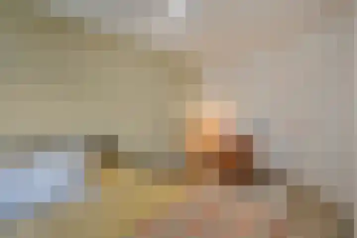 Groenhoven 433 Amsterdam thumbnail 20