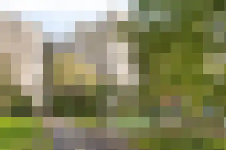 Groenhoven 433 Amsterdam thumbnail 33